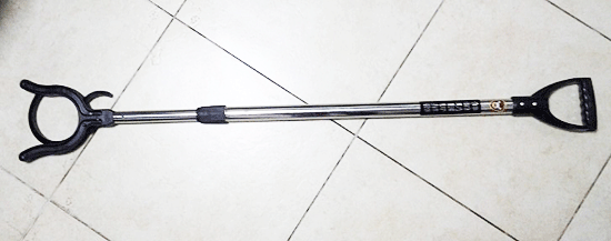 美女的隐藏部位是什么图片