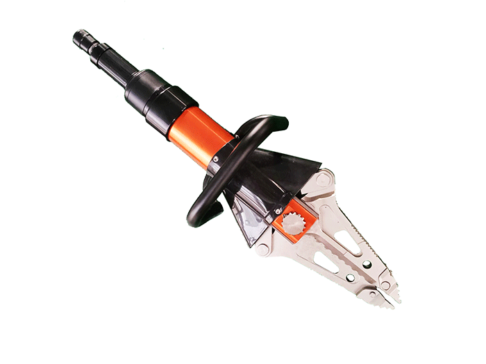 美女的隐藏部位是什么图片