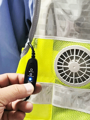 美女的隐藏部位是什么图片