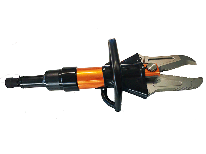 美女的隐藏部位是什么图片