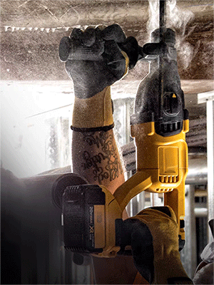 美女的隐藏部位是什么图片