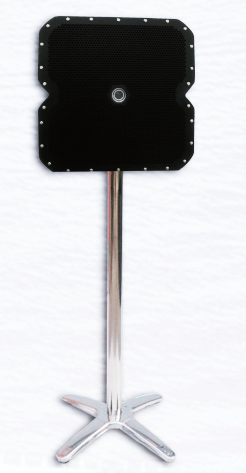 美女的隐藏部位是什么图片