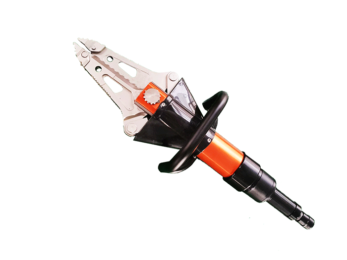 美女的隐藏部位是什么图片