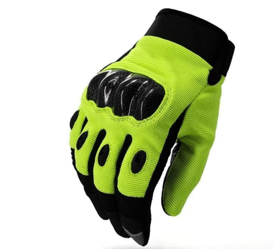 美女的隐藏部位是什么图片