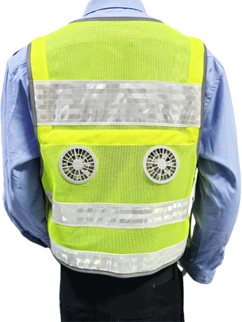 美女的隐藏部位是什么图片