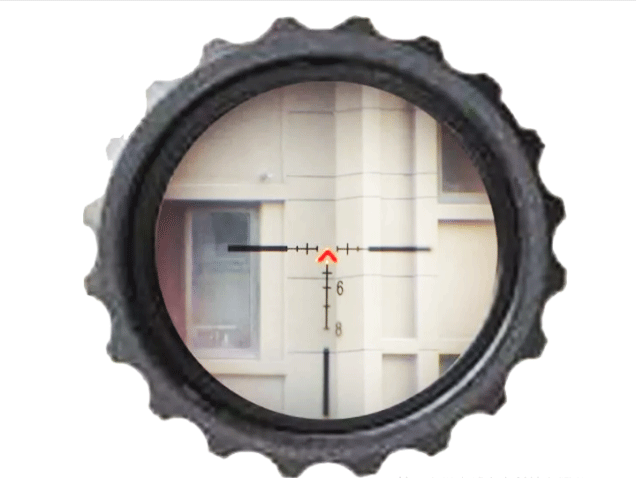 美女的隐藏部位是什么图片