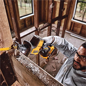 美女的隐藏部位是什么图片