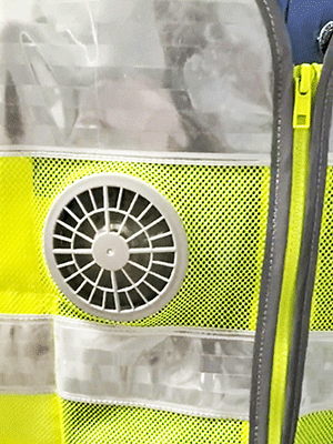 美女的隐藏部位是什么图片