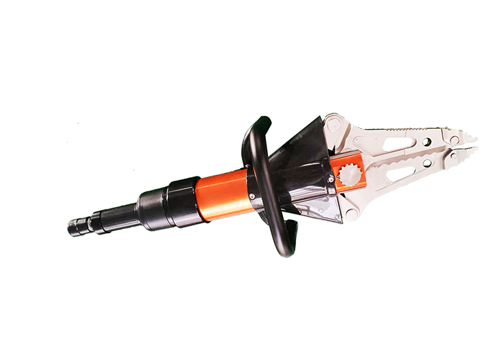 美女的隐藏部位是什么图片