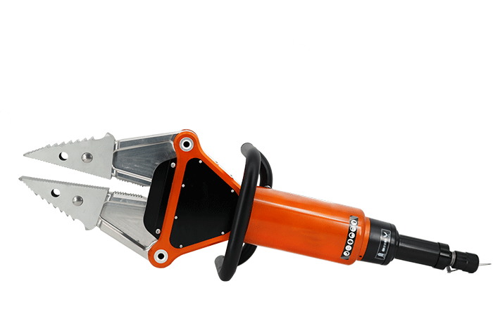 美女的隐藏部位是什么图片