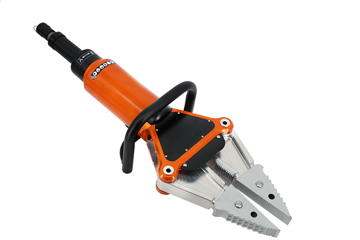 美女的隐藏部位是什么图片