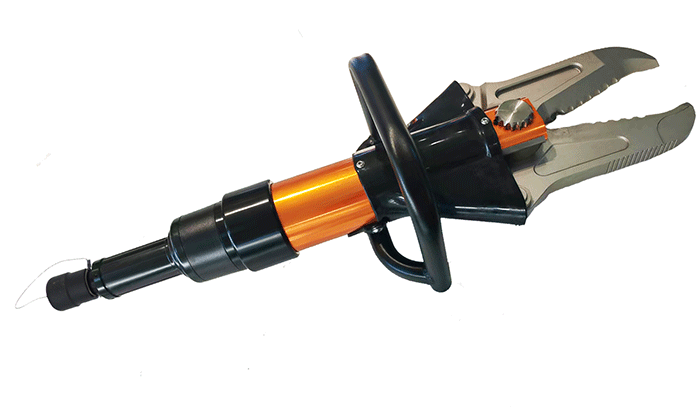 美女的隐藏部位是什么图片