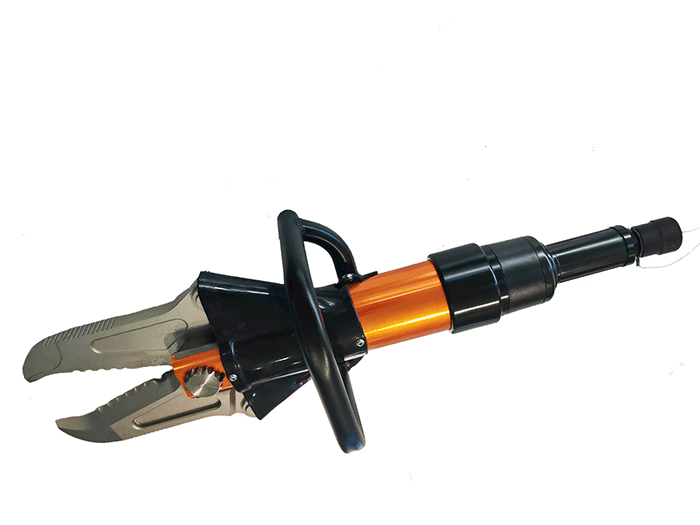 美女的隐藏部位是什么图片