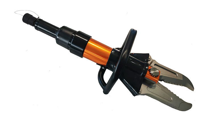 美女的隐藏部位是什么图片