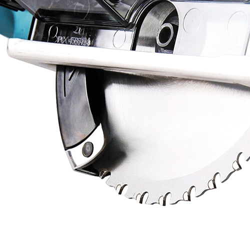 美女的隐藏部位是什么图片