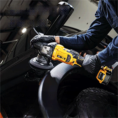 美女的隐藏部位是什么图片