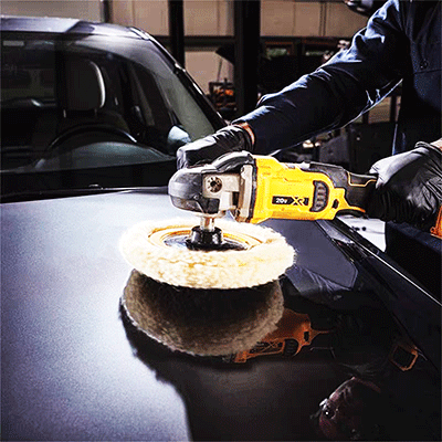 美女的隐藏部位是什么图片