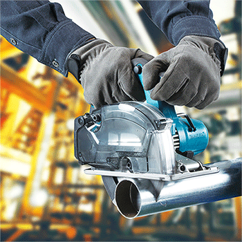 美女的隐藏部位是什么图片