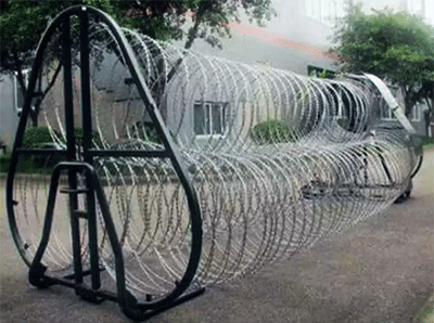 美女的隐藏部位是什么图片