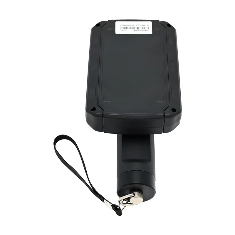 美女的隐藏部位是什么图片