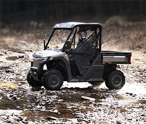 美女的隐藏部位是什么图片