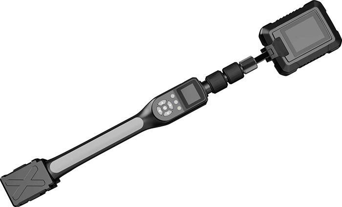 美女的隐藏部位是什么图片