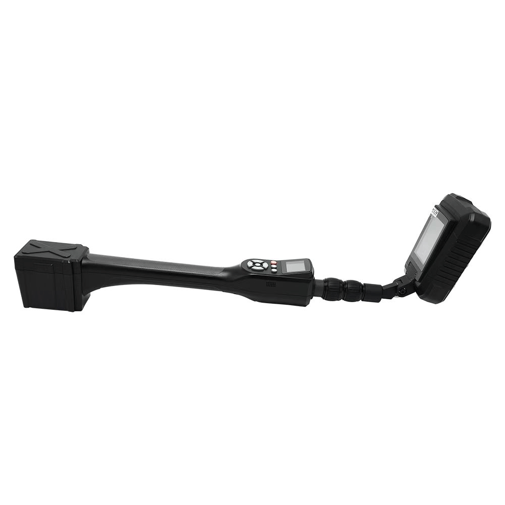 美女的隐藏部位是什么图片