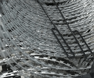 美女的隐藏部位是什么图片