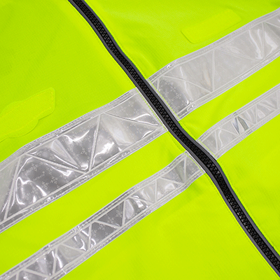 美女的隐藏部位是什么图片