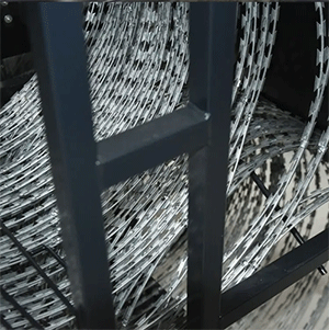 美女的隐藏部位是什么图片