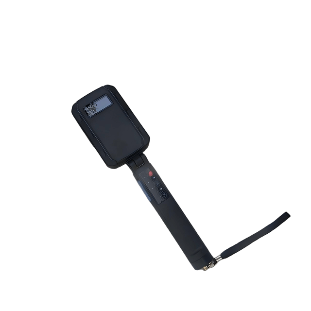 美女的隐藏部位是什么图片