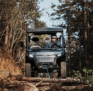 美女的隐藏部位是什么图片