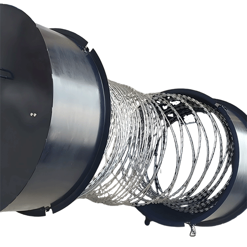 美女的隐藏部位是什么图片