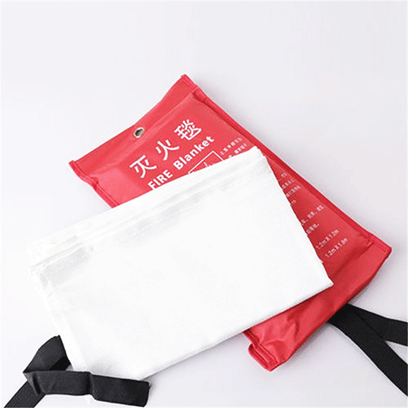 美女的隐藏部位是什么图片