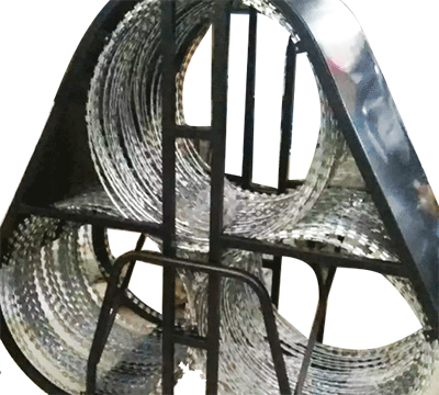 美女的隐藏部位是什么图片