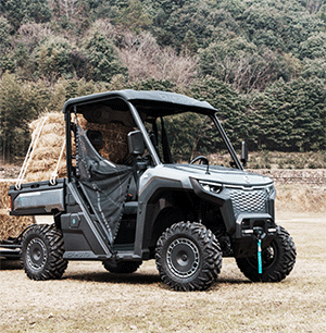 美女的隐藏部位是什么图片