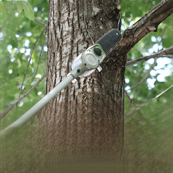 美女的隐藏部位是什么图片