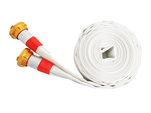 美女的隐藏部位是什么图片