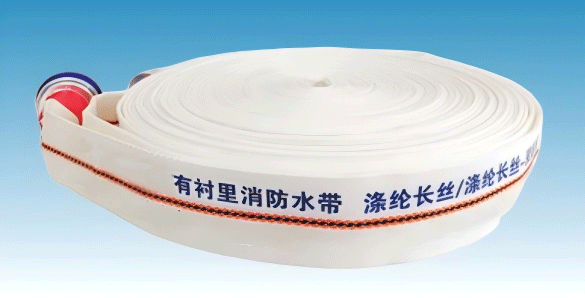 美女的隐藏部位是什么图片