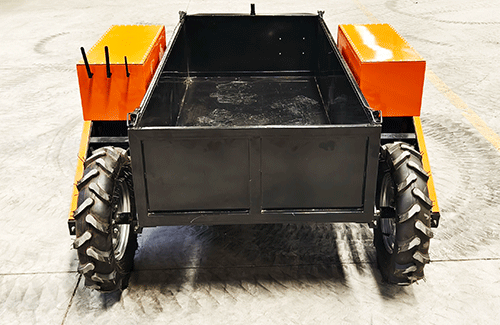 美女的隐藏部位是什么图片