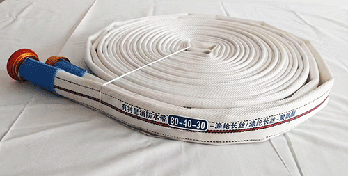 美女的隐藏部位是什么图片