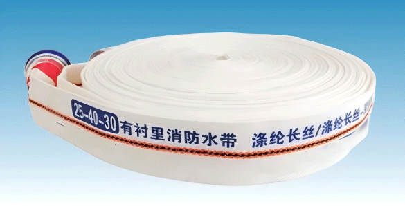 美女的隐藏部位是什么图片