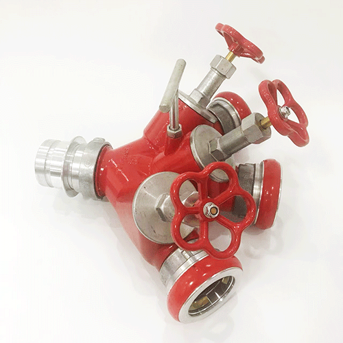 美女的隐藏部位是什么图片