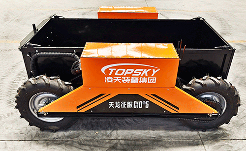 美女的隐藏部位是什么图片