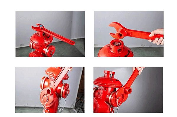 美女的隐藏部位是什么图片