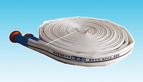 美女的隐藏部位是什么图片