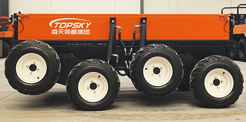 美女的隐藏部位是什么图片