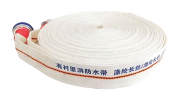 美女的隐藏部位是什么图片