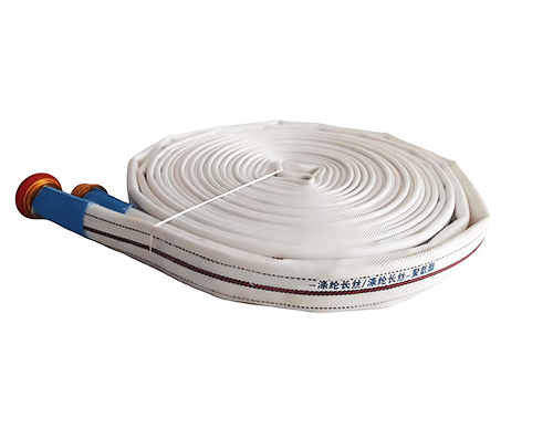 美女的隐藏部位是什么图片