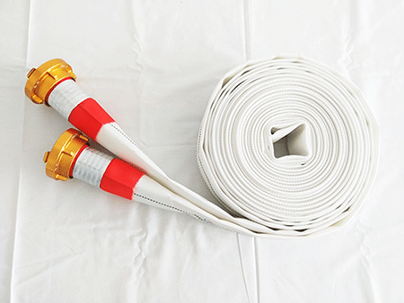 美女的隐藏部位是什么图片